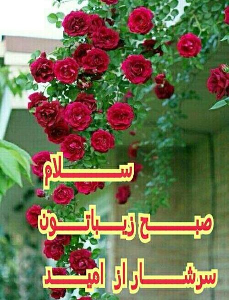 عکس متحرک سلام صبح بخیر