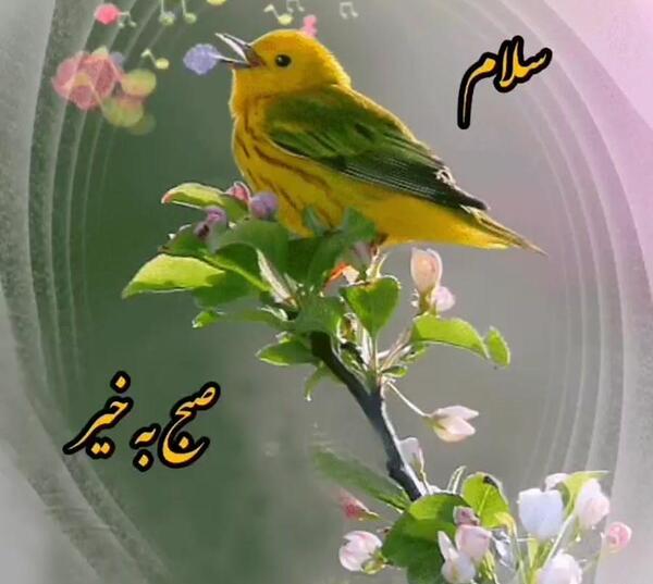 عکس نوشته متحرک سلام صبح بخیر