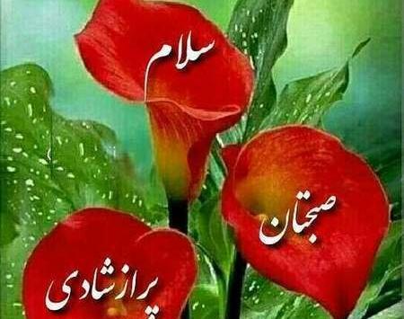 عکسهای متحرک صبح بخیر