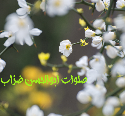 عکس نوشته صلوات ابوالحسن ضراب اصفهانی