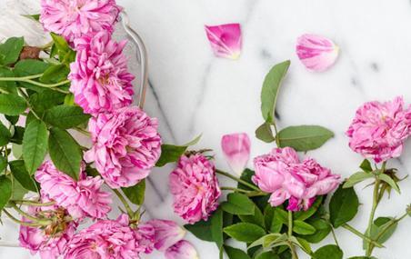عکس صلوات با گل محمدی