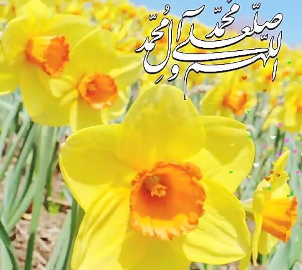 گیف عکس صلوات متحرک