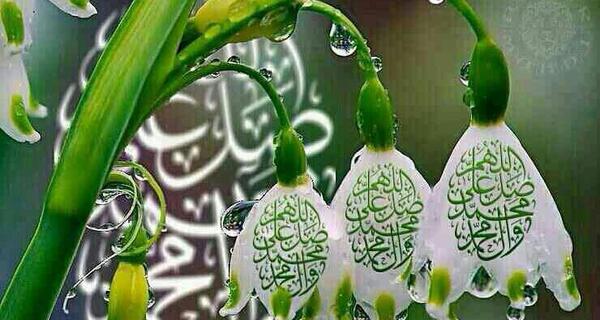 عکس زیبای صلوات