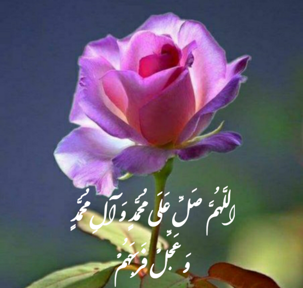 عکس زیبای صلوات