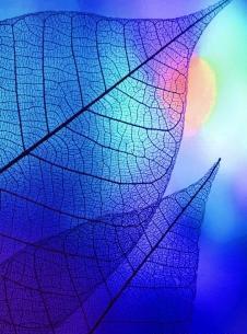 عکس برای صفحه نمایش گوشی