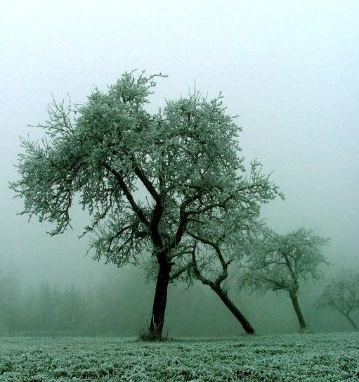 عکس از منظره برای صفحه گوشی
