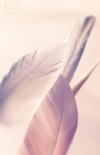 عکس گوگولی برای صفحه گوشی