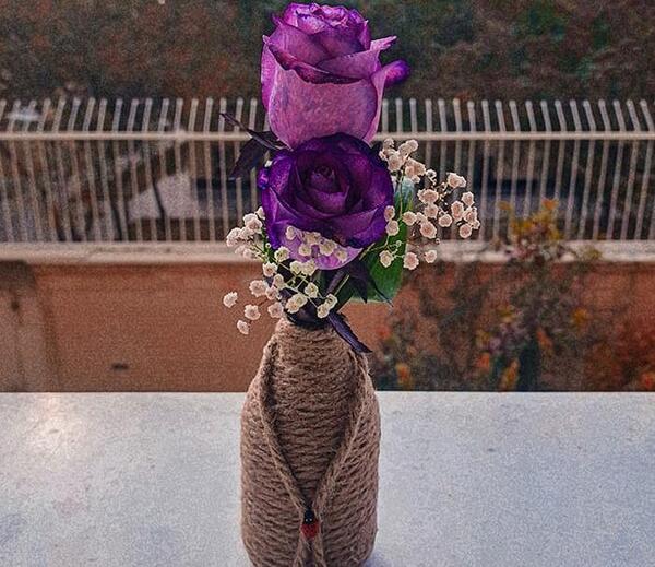 عکس گل رز قرمز برای صفحه گوشی