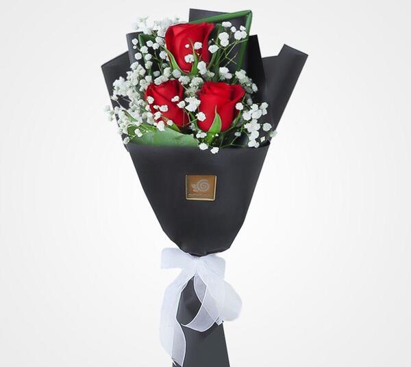 عکس گل رز قرمز برای صفحه گوشی