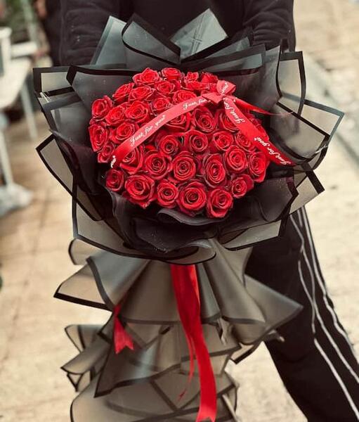عکس گل رز قرمز برای صفحه گوشی