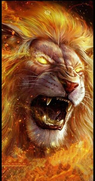 عکس روی صفحه گوشی شیر