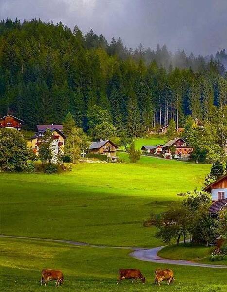 عکس صفحه زمینه گوشی طبیعت