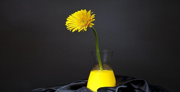 عکس گل زرد برای صفحه گوشی