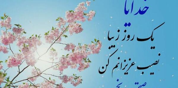 یک عکس زیبا برای صبح بخیر
