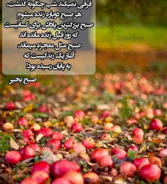 یک عکس زیبا برای صبح بخیر