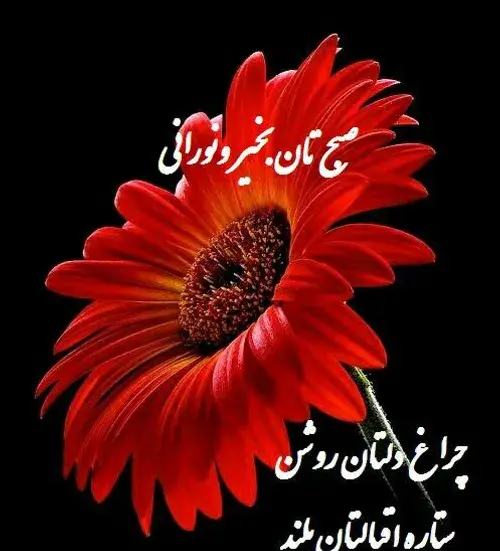 عکس سلام صبح بخیر رفیق