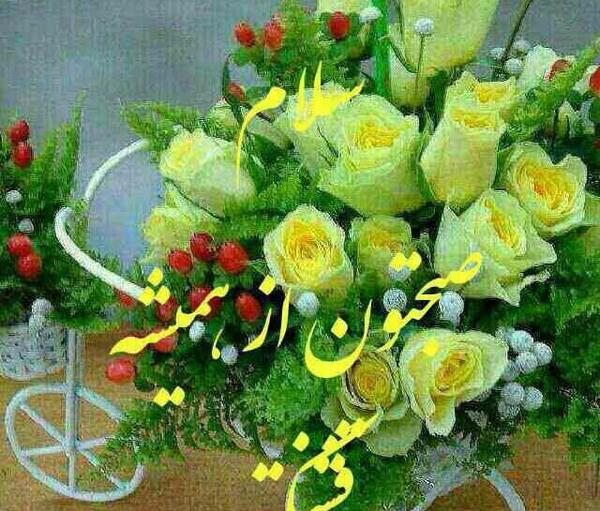 عکس متن صبح بخیر سه شنبه