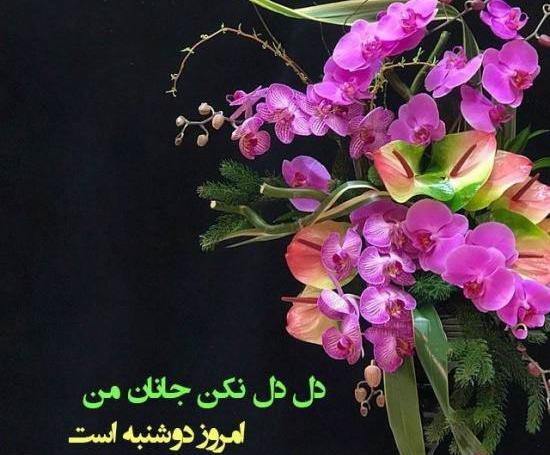 عکس سلام صبح بخیر روز دوشنبه