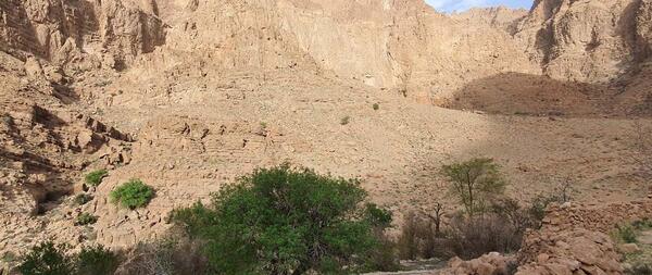 عکس روستای شادکام