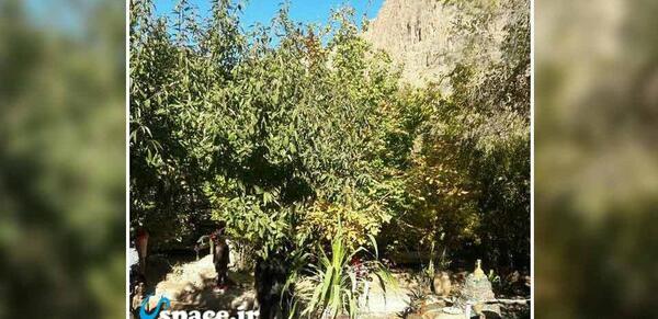 عکس روستای شادکام
