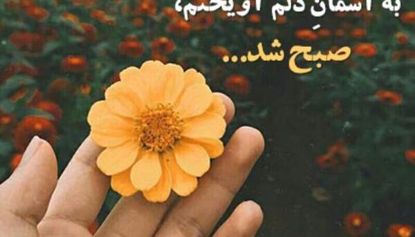 عکس صبح بخیر به عشقم
