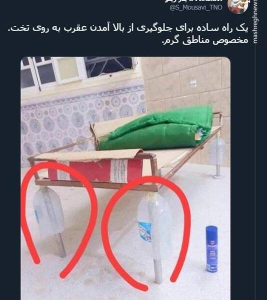 نیش عکس شاه عقرب