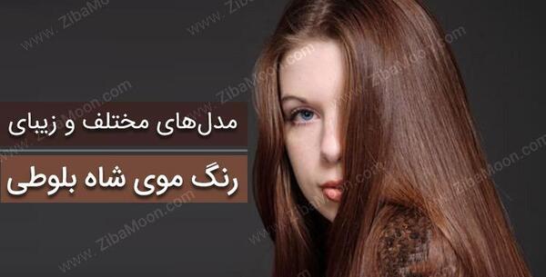 عکس شاه بلوطی روشن