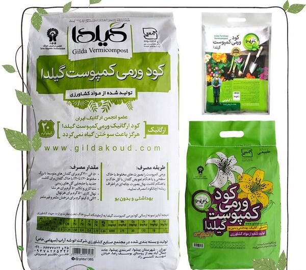 عکس شاه بلوط گویان