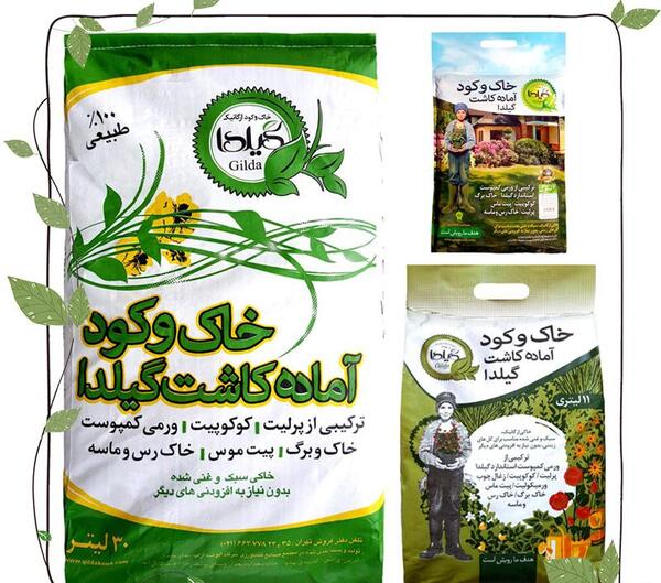 عکس شاه بلوط گویان