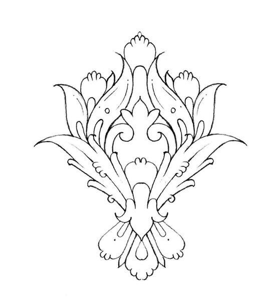 عکس شاه پروانه