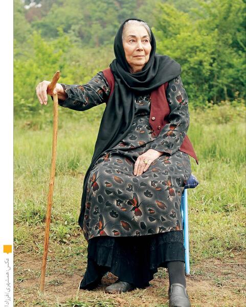 عکس شاه پروانه