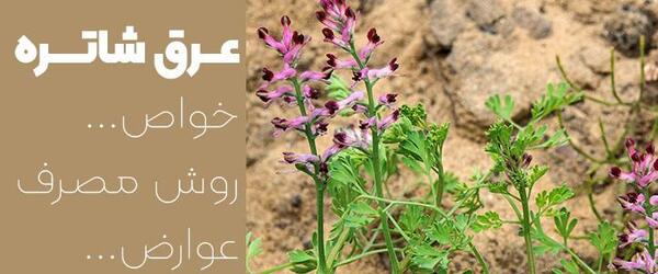 عکس سبزی شاه تره