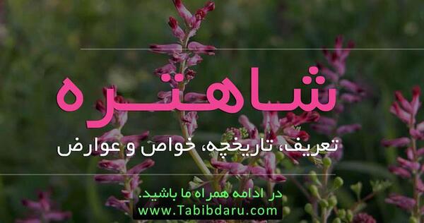 عکس سبزی شاه تره