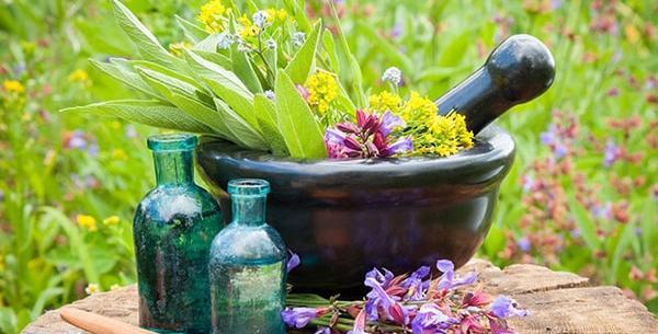 عکس های شاه تره