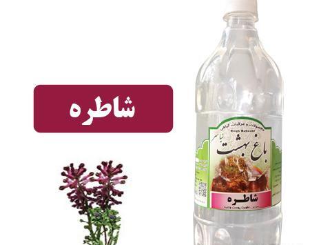 عکس های شاه تره