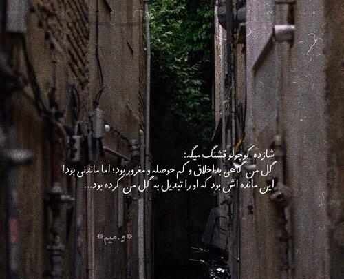 عکس پروفایل شاهزاده کوچولو