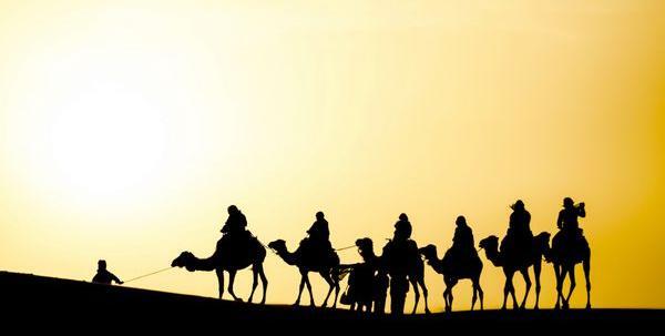 عکس شتر کاروان