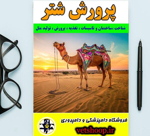 عکس شتر کاروان