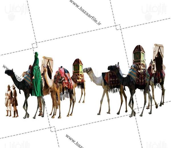 عکس شتر کاروان