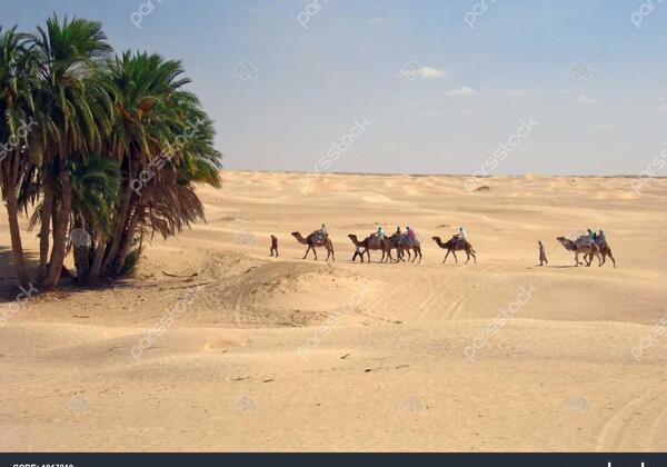 عکس شتر کاروان