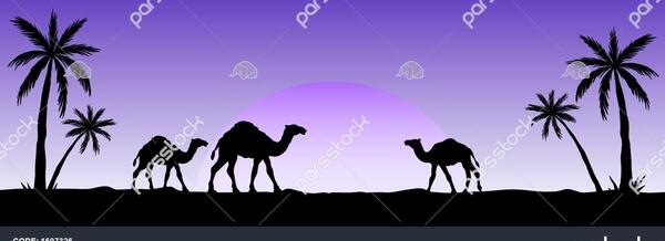 عکس شتر کاروان