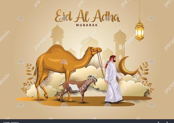 عکس شتر و گوسفند
