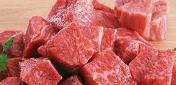 عکس شتر و گوسفند
