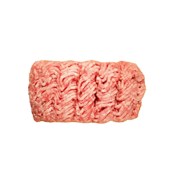 عکس شتر و گوسفند