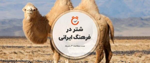 عکس شتر و همسرش