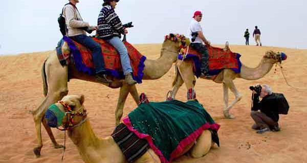 عکس شتر و همسرش