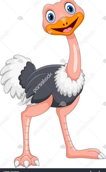 عکس نقاشی شتر مرغ