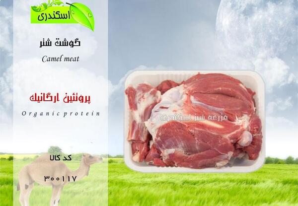 عکس گوشت کوهان شتر