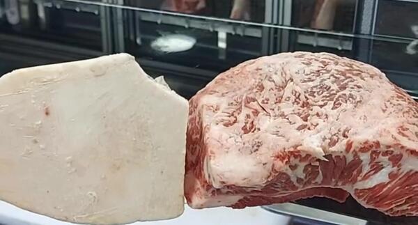 عکس گوشت کوهان شتر