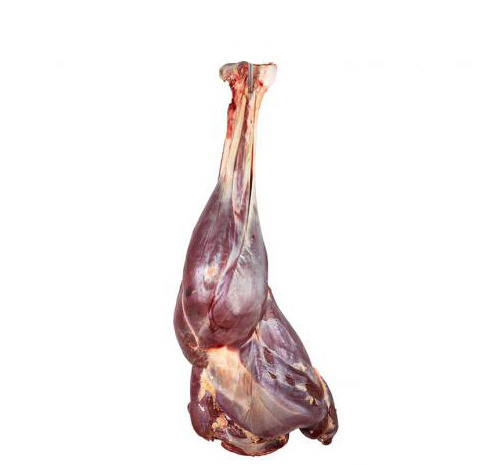 عکس گوشت ران شتر مرغ